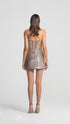 Bra Form Rose Patterned Brown Mini Dress